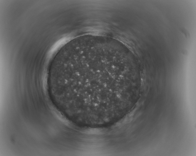 X0000113980149200910161631