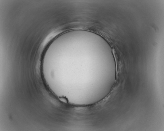 X0000113980150200910161631