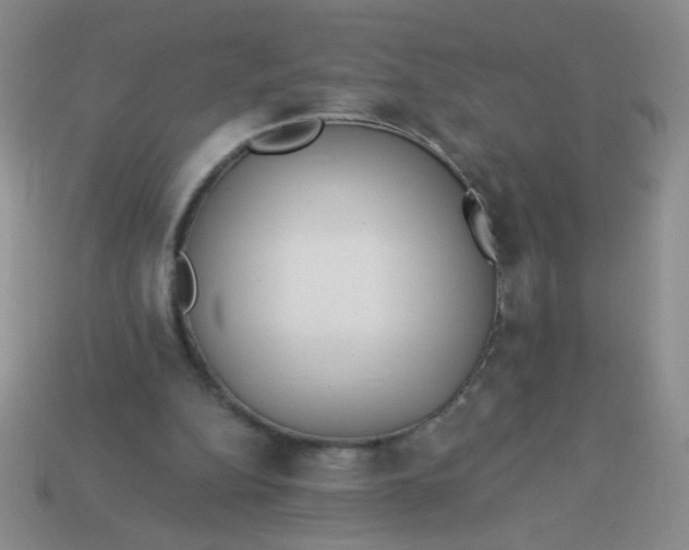 X0000113980152200910161631