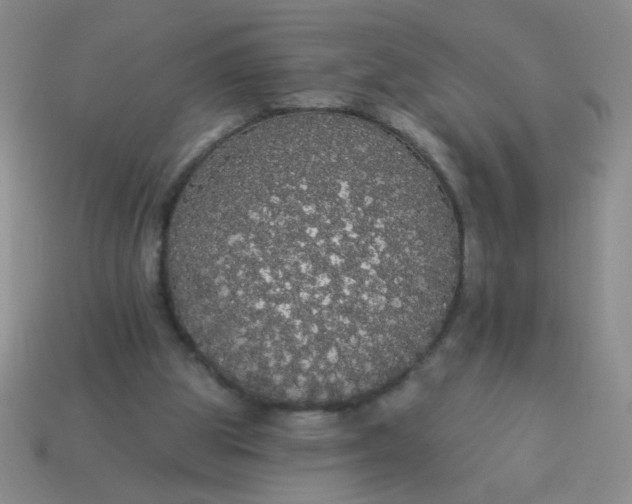 X0000113980153200910161631