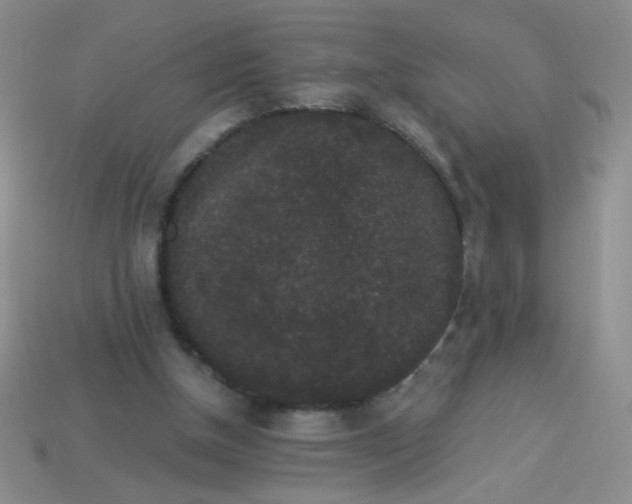 X0000113980154200910161631