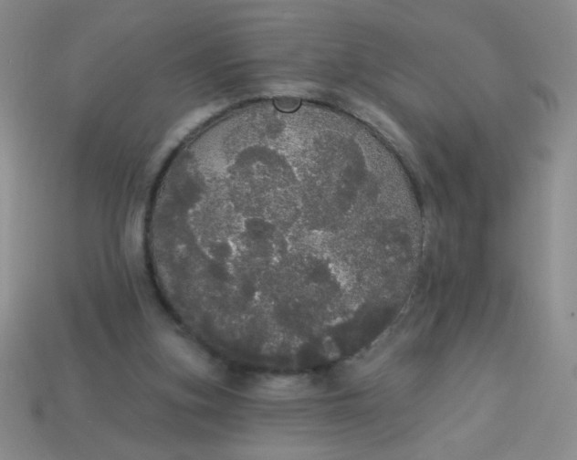 X0000113980155200910161631