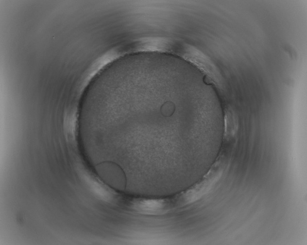 X0000113980156200910161631