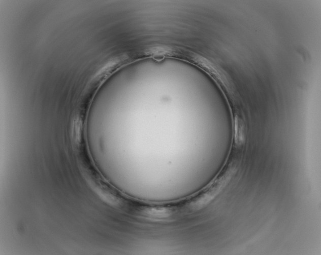 X0000113980157200910161631