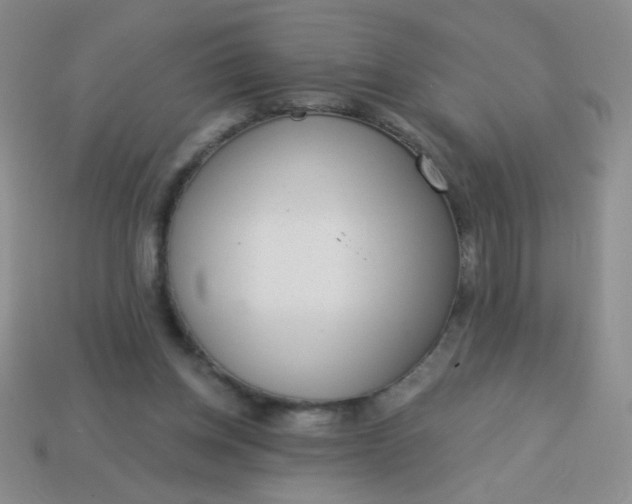 X0000113980158200910161631