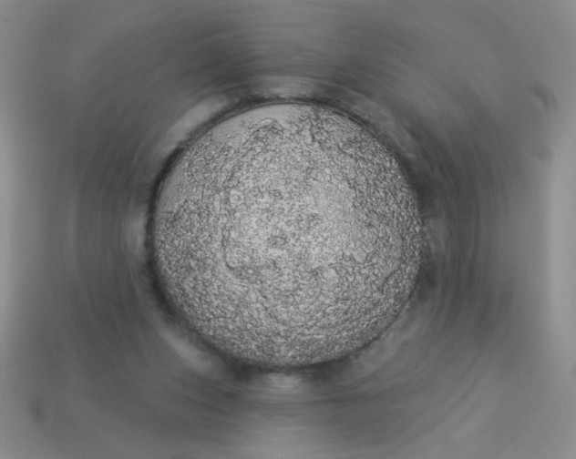 X0000113980159200910161631