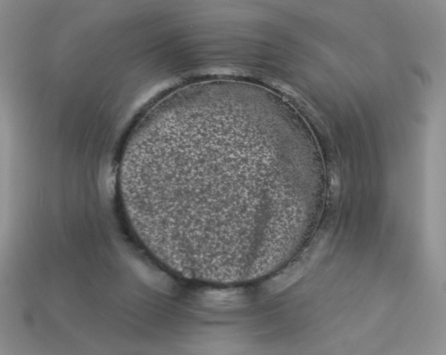 X0000113980160200910161631