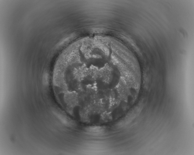 X0000113980161200910161631