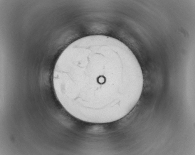 X0000113980162200910161631