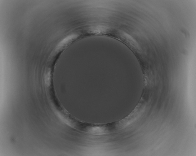 X0000113980163200910161631