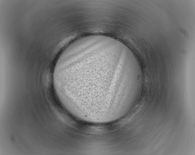 X0000113980164200910161631