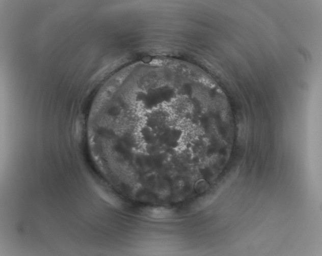 X0000113980165200910161631