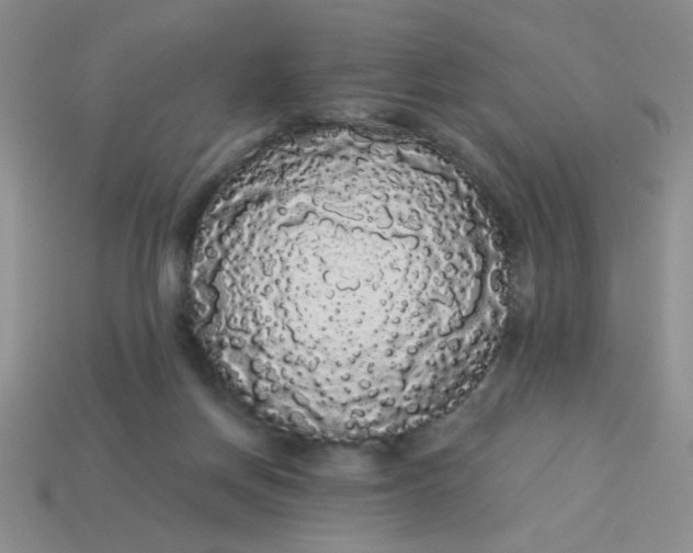 X0000113980166200910161631