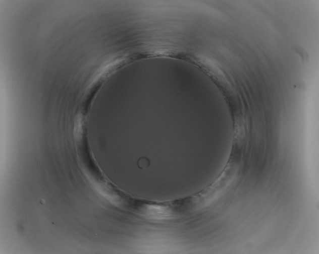 X0000113980167200910161631