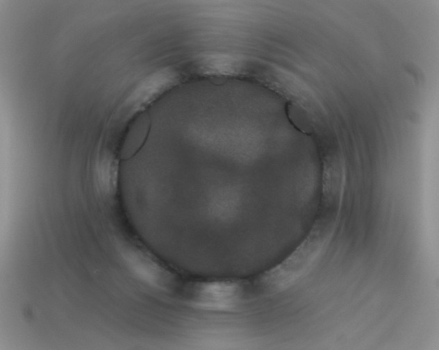 X0000113980168200910161631