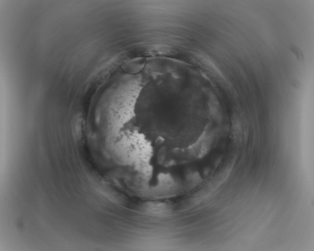 X0000113980169200910161631