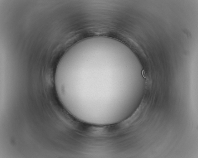 X0000113980170200910161631