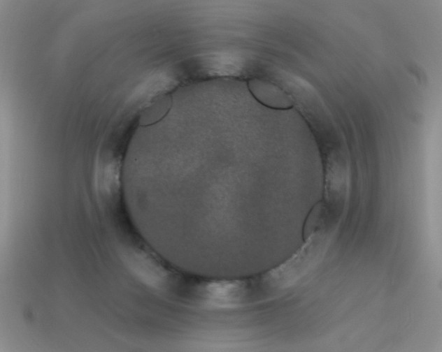 X0000113980172200910161631