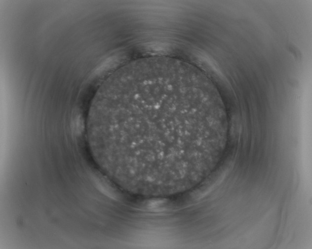 X0000113980173200910161631