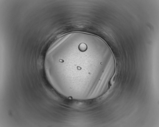 X0000113980174200910161631