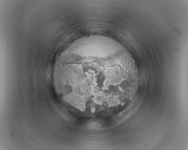 X0000113980175200910161631