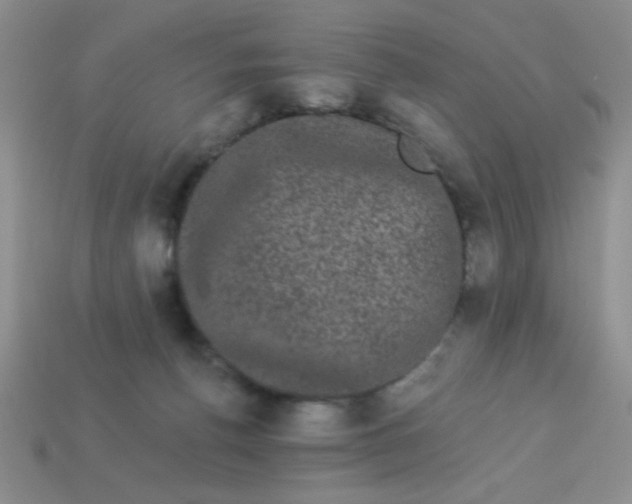 X0000113980176200910161631