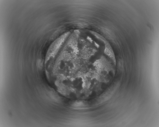 X0000113980177200910161631