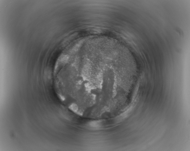 X0000113980178200910161631