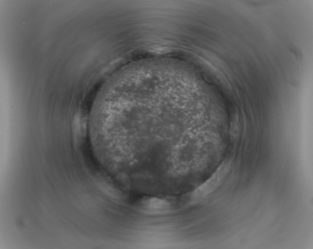 X0000113980180200910161631