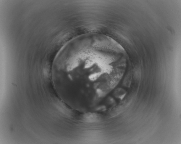 X0000113980181200910161631