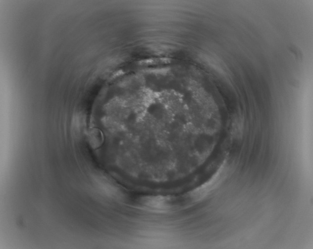 X0000113980182200910161631