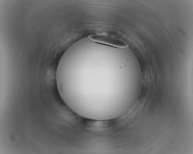 X0000113980184200910161631