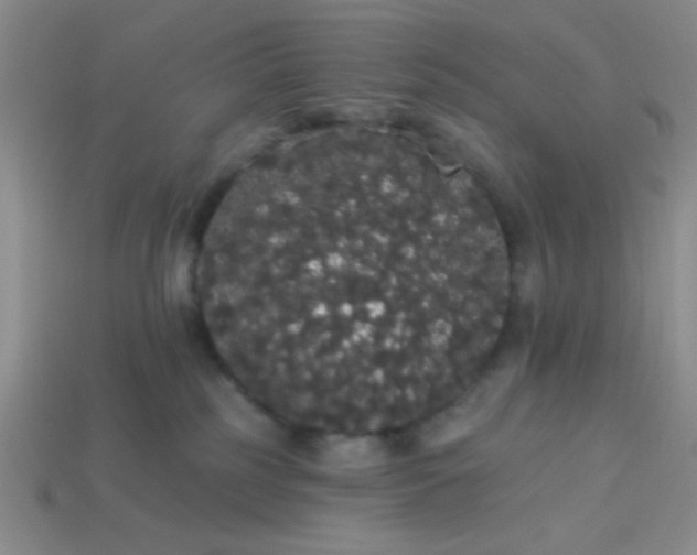 X0000113980185200910161631