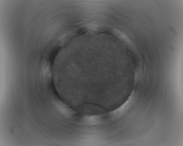 X0000113980186200910161631