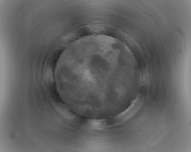 X0000113980187200910161631