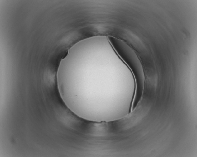 X0000113980188200910161631