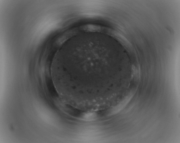 X0000113980189200910161631