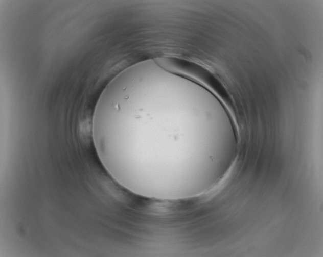 X0000113980190200910161631