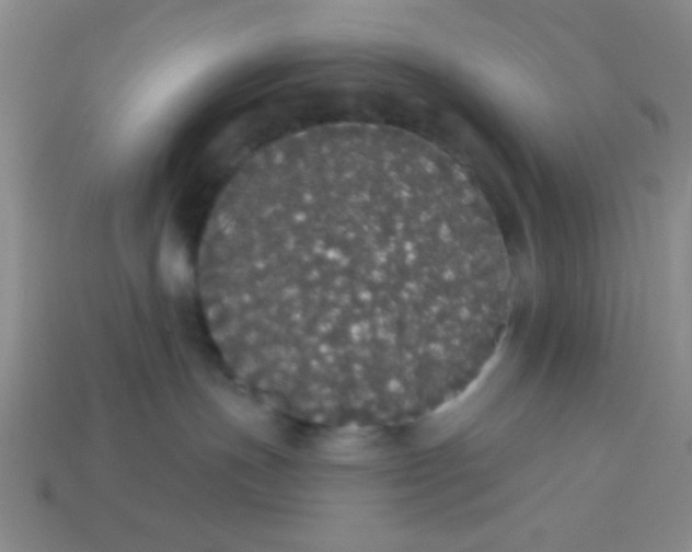 X0000113980191200910161631