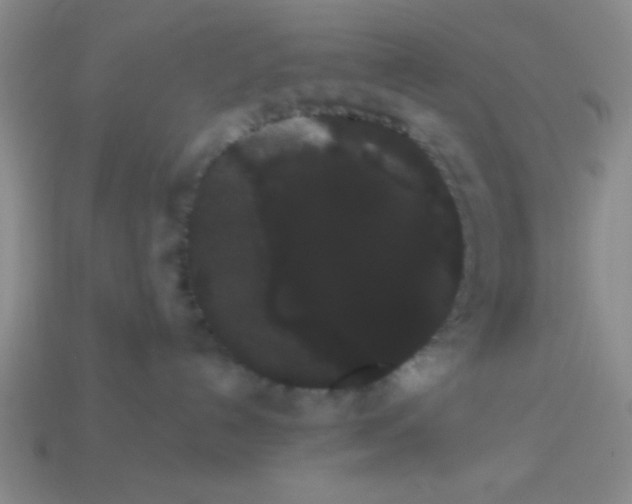 X0000113980192200910161631