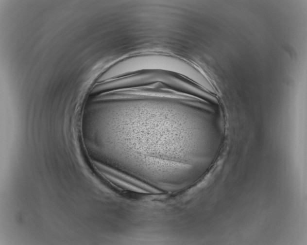 X0000113980193200910161630