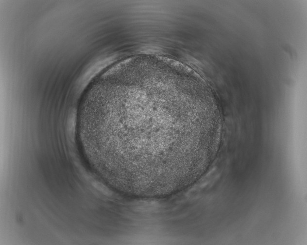 X0000113980194200910161630