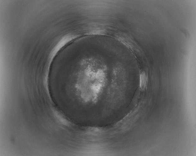 X0000113980195200910161630