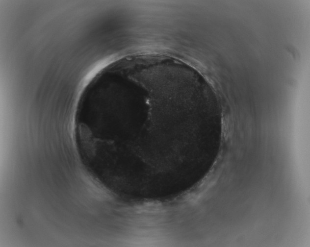 X0000113980196200910161630