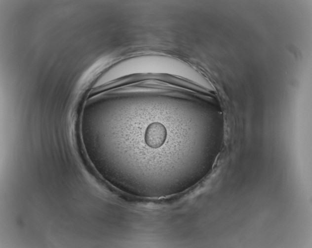 X0000113980197200910161630