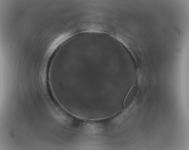 X0000113980199200910161630