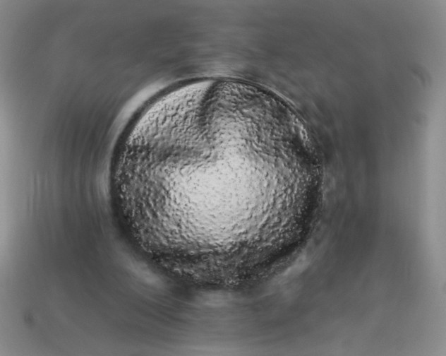 X0000113980200200910161630