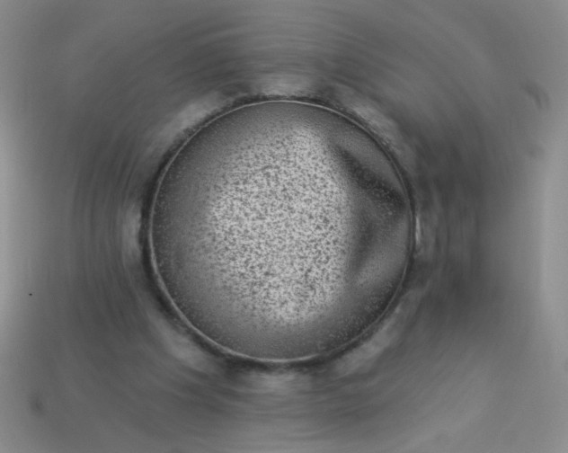 X0000113980201200910161630