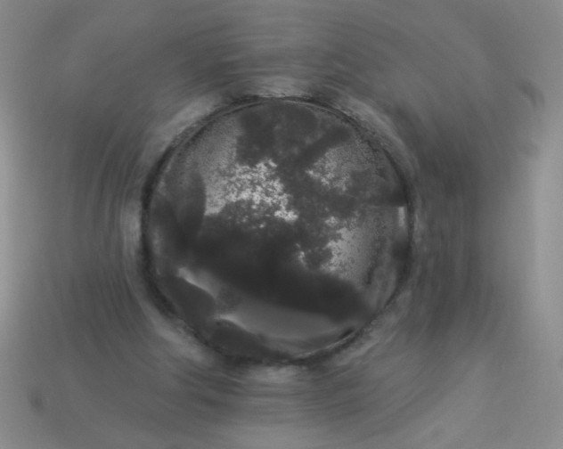 X0000113980202200910161630