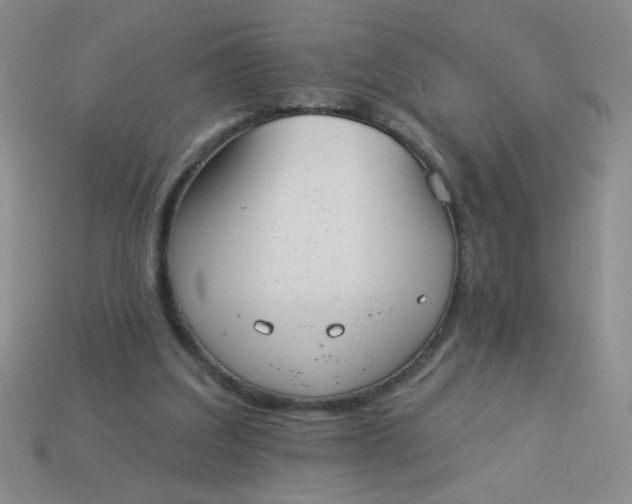 X0000113980203200910161630